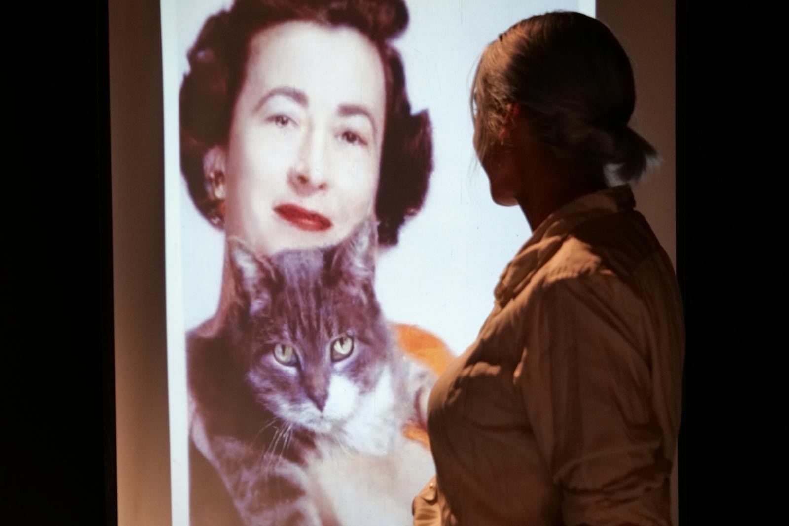 Compagnie De Capes et de Mots: "Biographies animales"